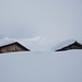 hübsch eingeschneit mit guten 50cm Neuschnee - die Alp Säss
