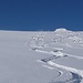 die LINKEN zwei Linien sind unsere :-) was für ein GENUSS
