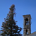 Der Weihnachtsbaum wirkte bei Temperaturen von über 20 °C reichlich deplaziert