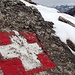 orgoglio e montagne svizzere
