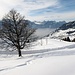 Idyllische Abfahrt I - man achte aber auf die Strasse welche x-mal gequert wird
