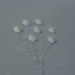 Während ich um Luft ringe, zeichnet meine Begleiterin mit einem Stock einen Blumenstrauss in den Schnee. 