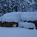Brennholz eher für den nächsten Winter