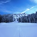 Durch die Schneise oder etwas links davon im Wald hoch und nach rechts, Mittlist Arni entgegen.
