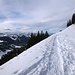 Schöner Trail Richtung Spicherholde Alpe