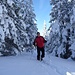 Bernhard in verschneiten Wald