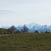 Grandes Jorasses et les trois Mont Blanc. Devant, la chaîne des Bargys
