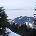 Im Westen, der Kapf. Dahinter das Rheintal im Nebel - die Hügel im Hintergrun sind bereits Schweiz.