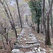 Scala Santa