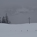 mystischer Ausblick von der Alp ...