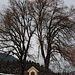 St. Nikolaus im Winkl