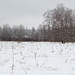 Weißer Stein (Fels im Boxvenn) - Blick in die heute winterlich-düstere Landschaft des umgebenden Boxvenn.