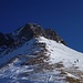 Ochse von Alpiglegalm aus gesehen.