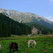 Landscape in Glade Grind - Piatra Craiului mountains