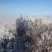 Milešovka - Ausblick vom Aussichtsturm. Außer einem kleinen Bereich direkt um den Gipfel herum ist nichts zu sehen. Selbst die Südseite der Krušné hory (Erzgebirge) ist vom Nebel verdeckt.