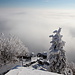 Milešovka - Ausblick vom Aussichtsturm. Zu sehen ist: der unmittelbare Gipfelbereich, ansonsten: Nebel, soweit das Auge reicht.