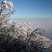 Milešovka - Ausblick östlich des Gipfels. Das "Nebelmeer" reicht bis etwa 20 m unter uns.