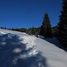 Wo der Weg aus dem Wald heraus kommt, liegt dann wieder ganz viel Schnee, teilweise auch noch wunderbarer Pulver.<br /><br />Dove il sentiero esce dal bosco, di colpo c`è tanta neve, anche una bellissima polvere.