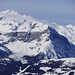 Wildhorn