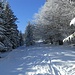 Wintertraum in der Gründ kurz nach Ende des Skilifts - es geht gemächlich dahin