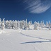 unterwegs zur Höllentalaussicht