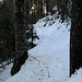 schneebedckter Waldweg