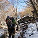 In direzione N siamo quasi all'Alpe di Cova