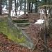 Reste der Lindkogler Hütte