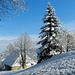 prächtige Winterlandschaft beim Ferienhaus Wisli der Schule Binningen 