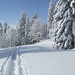 Winterwelt Jura
