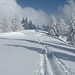 Winterwelt Jura