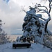 Ein Wintertraum über Zürich