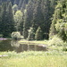 Märchenwald am Lac de Pététoz