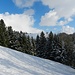 ... und am eingeschneiten Hang vorbei nach Ober Wintersey