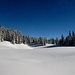 La montée au Jänzi passe par forêts et clairières recouvertes de neige immaculée