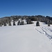 das ebene Stück Ober Hirschberg