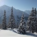 Hoher Gleirsch Westgrat und das winterliche Karwendel