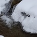 der Hornbach selbst munter sprudelnd - mit schönen Schnee- und Eis-Gebilden