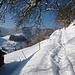 Aufstieg zum Schnebelhorn - oberhalb Libingen