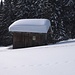 Letzten Winter (21.02.2012) hatte es mehr Schnee, siehe<br />[http://www.hikr.org/gallery/photo717202.html?post_id=46987#1]