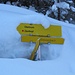 Der von [u Tef] beschriebene Anstieg ab Giessenbach ist momentan wegen zu viel Schnee nicht begehbar.