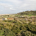 Wied tal-Girgenti / Girgenti Valley - Ausblick über Bäume mit reifen Zitronen (vorn) ins Girgenti-Tal. Auf der Anhöhe ist das Laferla-Kreuz zu sehen, im Hintergrund erkennt man u. a. Siġġiewi.
