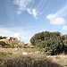 Unterwegs im Wied tal-Girgenti / Girgenti Valley - Ausblick auf terrassierte Felder und Gärten am Rand der Straße (Siġġiewi - Dingli).