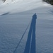 L'ombra di un elefante sul candore della neve