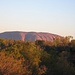 Der Uluru im Abendlicht, vom Zeltplatz in Yulara aus gesehen