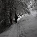 Der Weg ist zwar sehr idyllisch, aber einfach nicht als Skitour geeignet. Zu Fuß oder mit Schneeschuhen dagegen eine wunderschöne Tour.<br /><br />Il sentiero è molto idiliaco ma non adatto affatto ad una gita con gli sci. A piedi o con racchette invece è una gita bellissima.