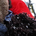 Dieses Foto ist nur für Silvia [u HeliS] :-) Eissterne auf dem Fell von Rabe Rudi.<br /><br />Questa foto è solo per Silvia [u HeliS] :-) Stelle di ghiaccio sul pelo del corvo Rudi.