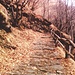 La magnifica mulattiera scalinata che conduce a Monteviasco.
