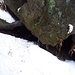 Mundloch der kleinen O.-Schütze-Höhle an den Wiesensteinen