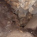 Ein "Höhlenwurm" kriecht auch da durch: Durchschlupf von der "Kammer der Dreiteilung" zur "Entdeckerabteilung" mit dem Höhlenbuch